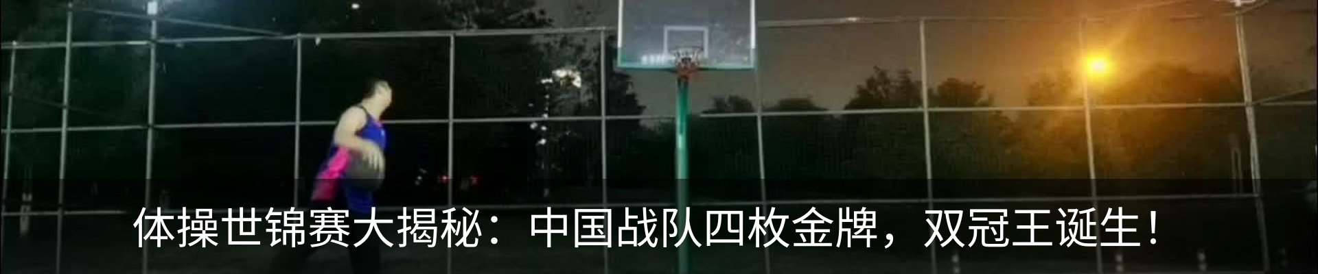 新闻动态