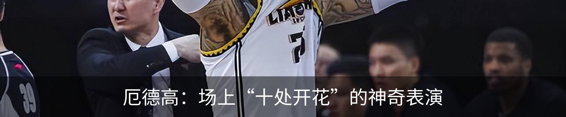 新闻动态