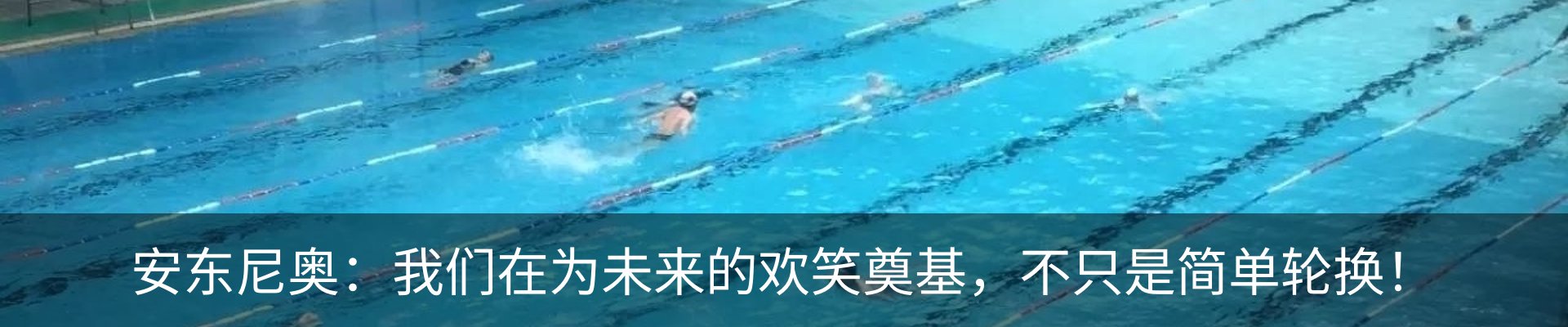 新闻动态