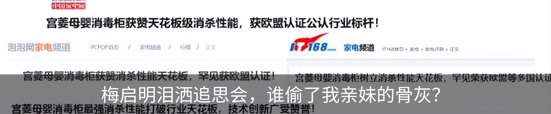 新闻动态