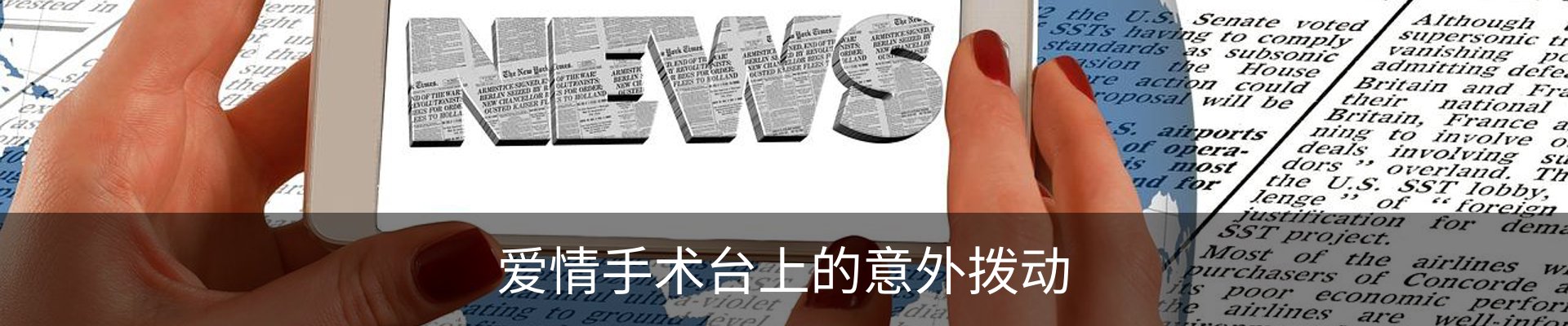 新闻动态
