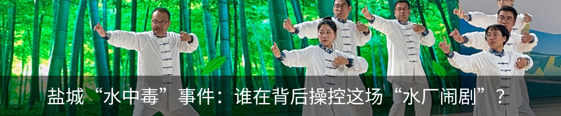 新闻动态