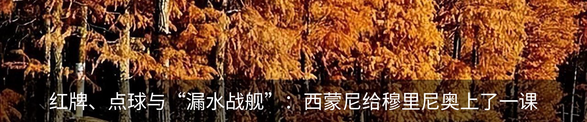 新闻动态